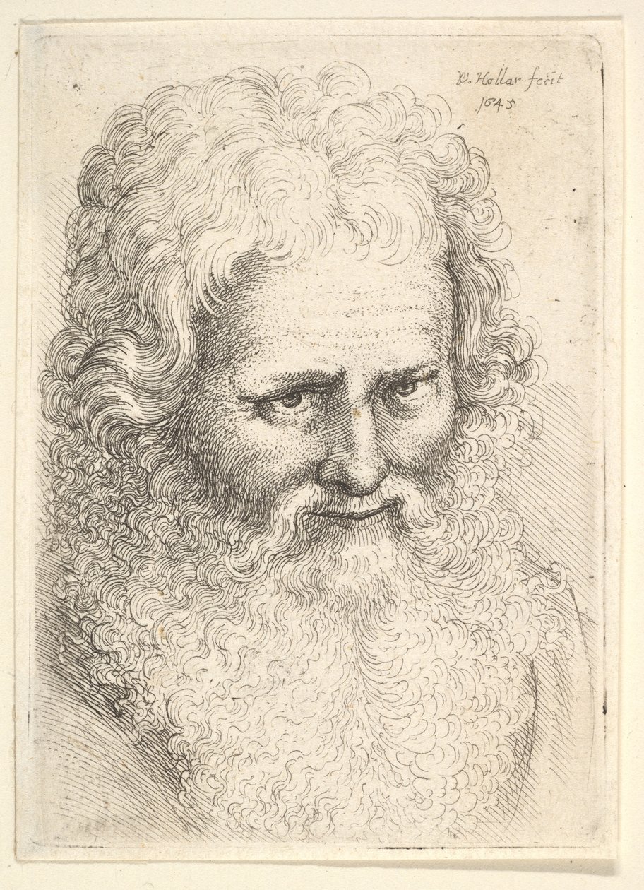 Testa di un vecchio con una grande barba, 1645 da Wenceslaus Hollar
