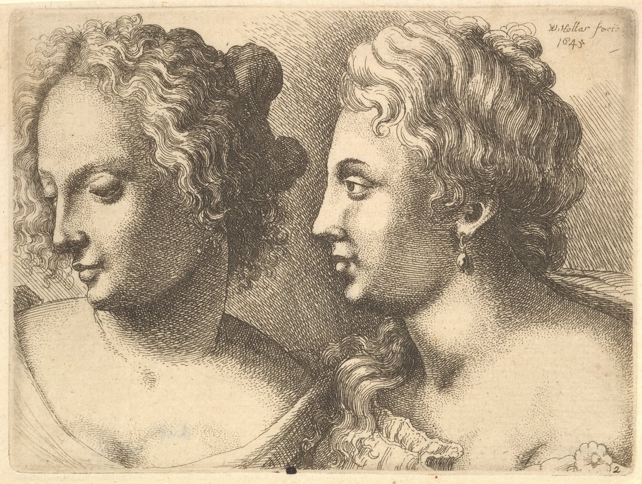 Teste di due giovani donne da Wenceslaus Hollar
