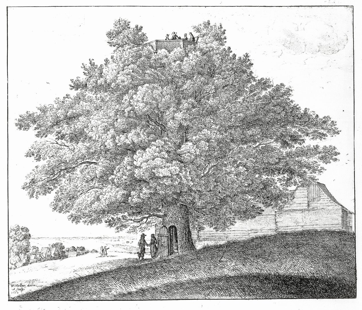 Albero cavo a Hampstead, 1663 da Wenceslaus Hollar