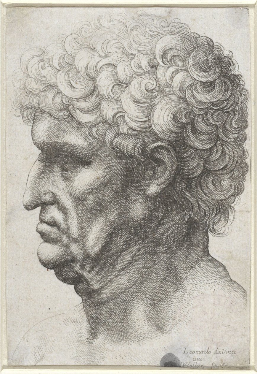 Testa di uomo con capelli ricci, di profilo da Wenceslaus Hollar