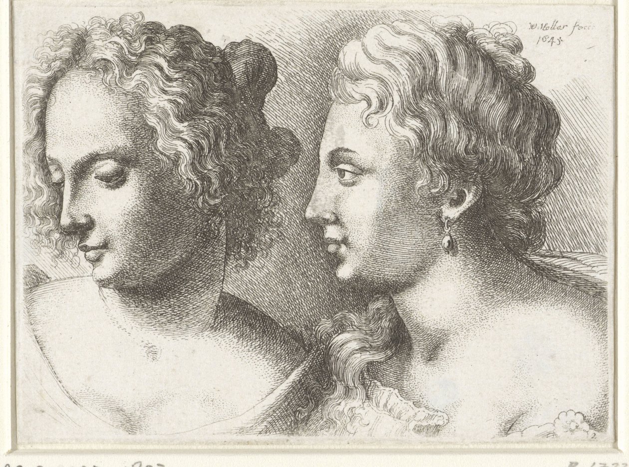Teste di due giovani donne da Wenceslaus Hollar