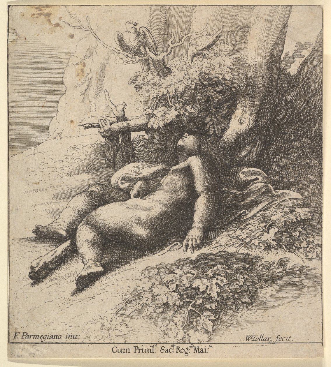 Ercole infante addormentato da Wenceslaus Hollar