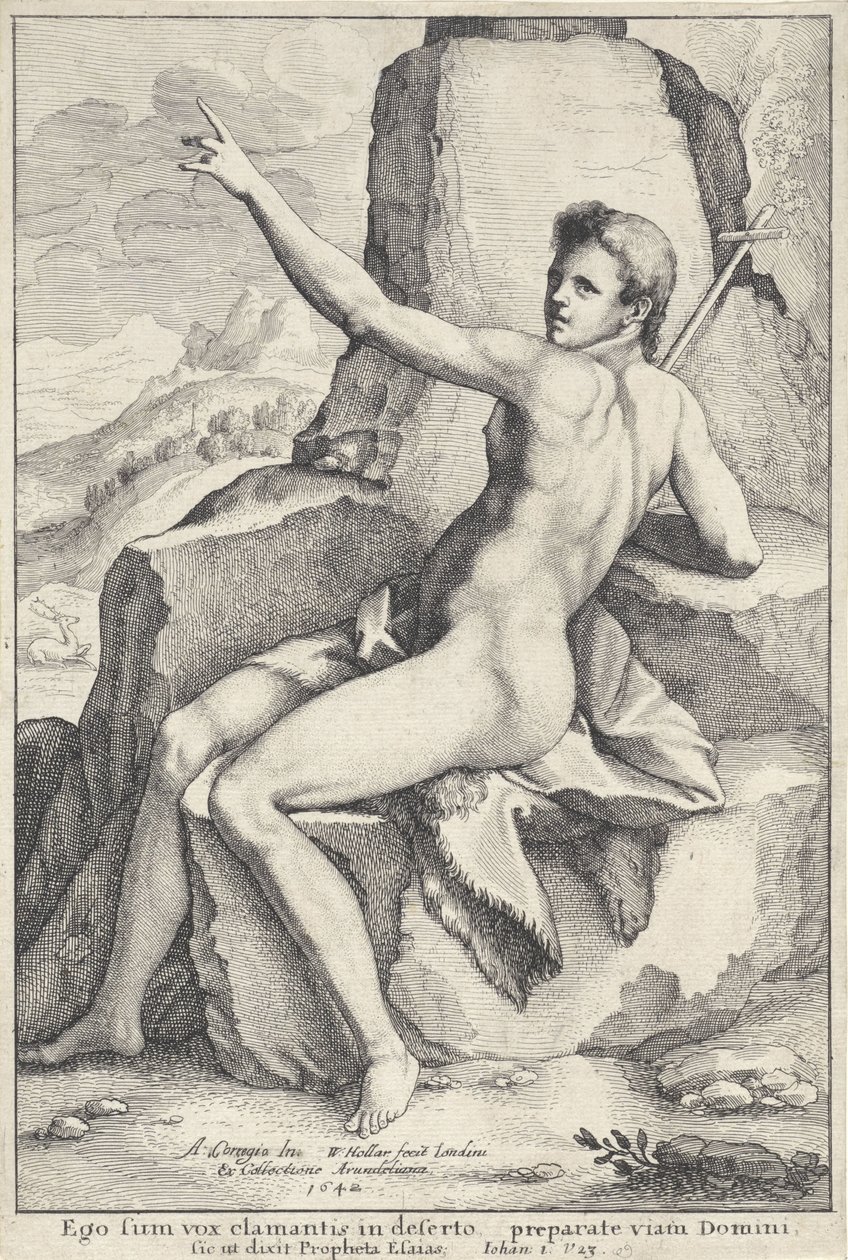 Giovanni Battista nel deserto da Wenceslaus Hollar