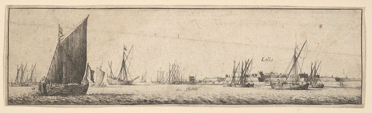 Lillo, 1642-44 da Wenceslaus Hollar