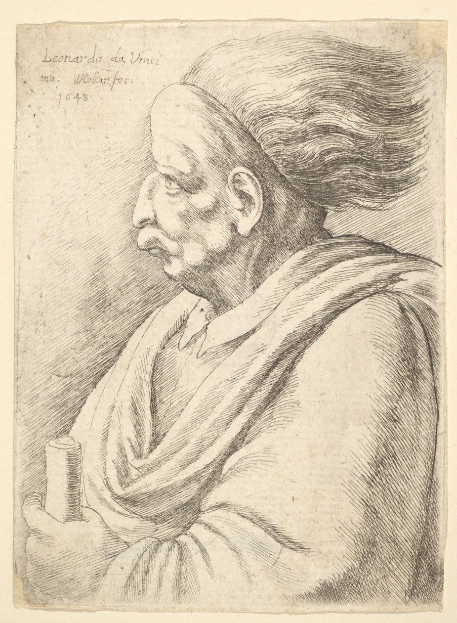 Uomo con caratteristiche caricaturali e capelli che fluttuano dietro, a mezzo busto a sinistra, 1648 da Wenceslaus Hollar