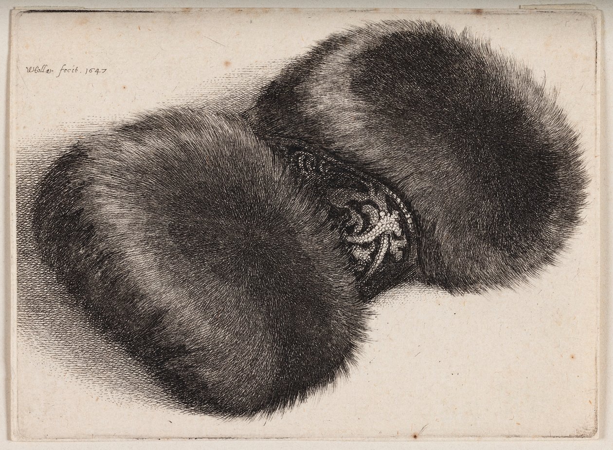 Manicotto di pelliccia con un nastro rivestito di broccato da Wenceslaus Hollar