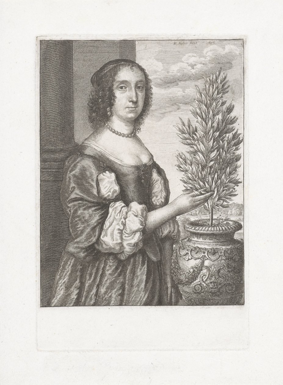 Ritratto di una donna in piedi accanto a una pianta di alloro da Wenceslaus Hollar
