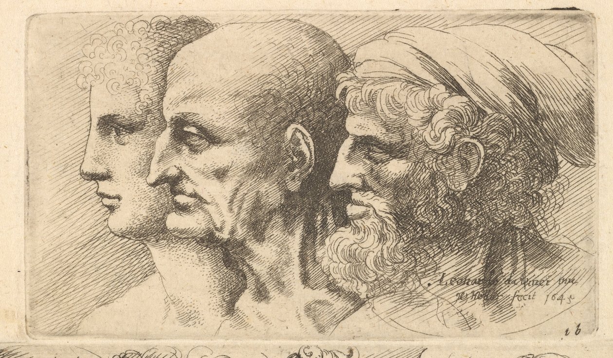 Fila di tre teste di profilo a sinistra da Wenceslaus Hollar