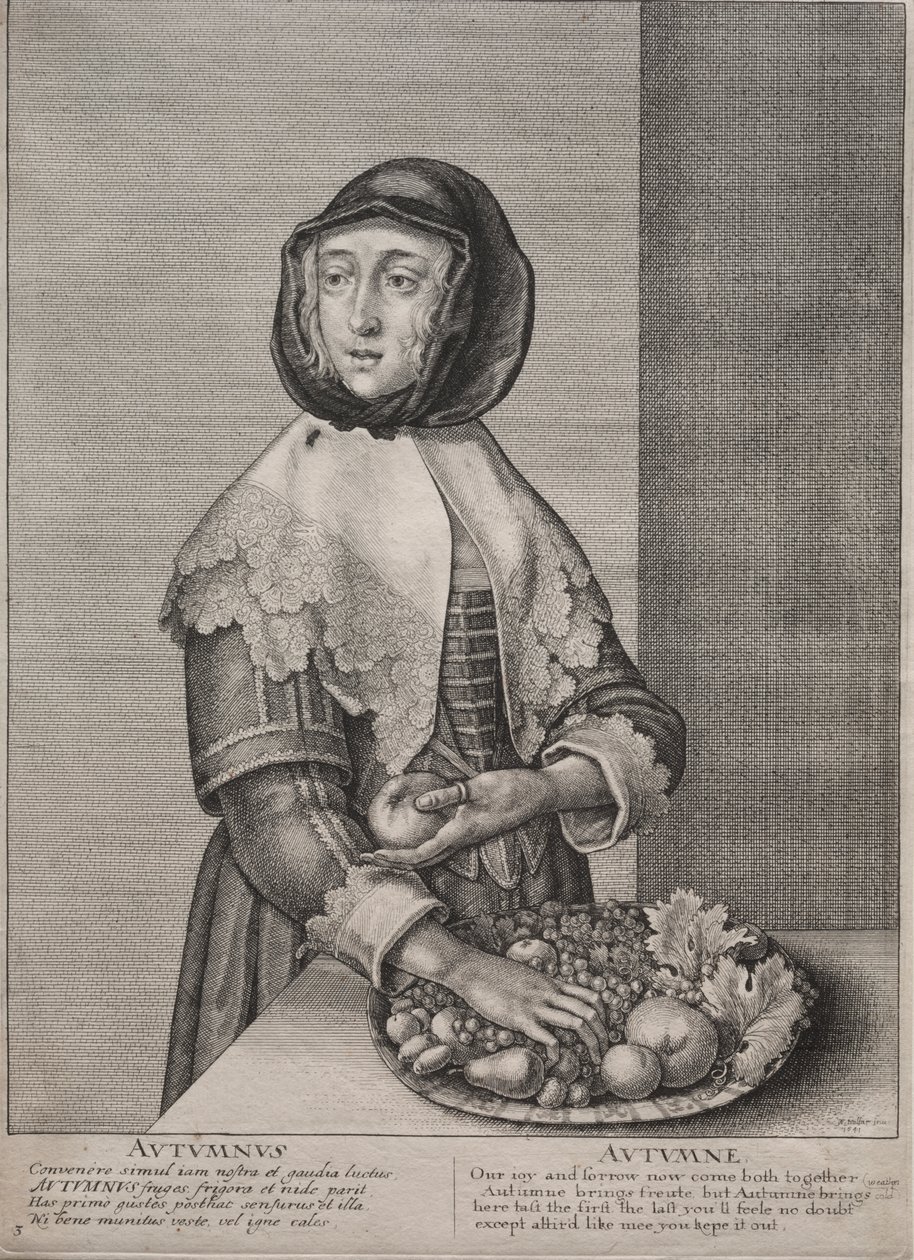 Le Quattro Stagioni: Autunno da Wenceslaus Hollar
