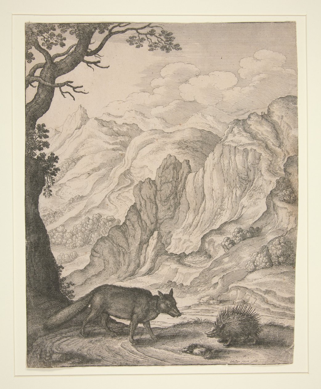 La volpe e l