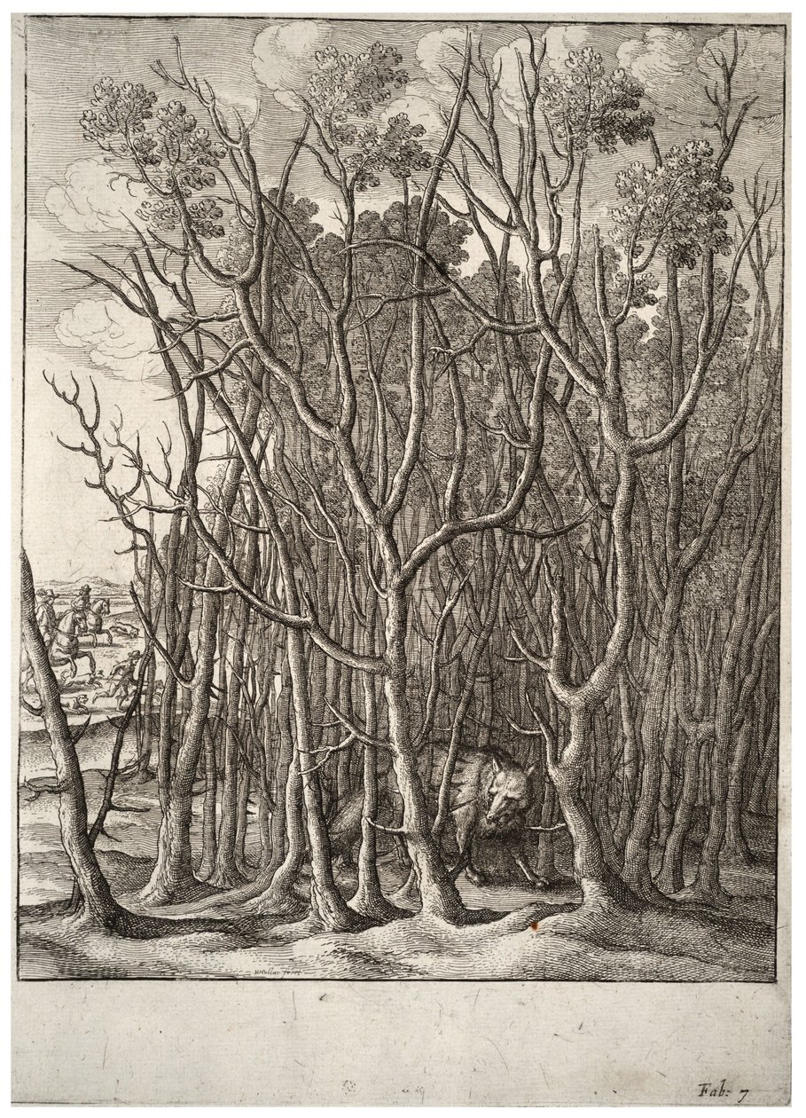La volpe e il cespuglio di spine da Wenceslaus Hollar