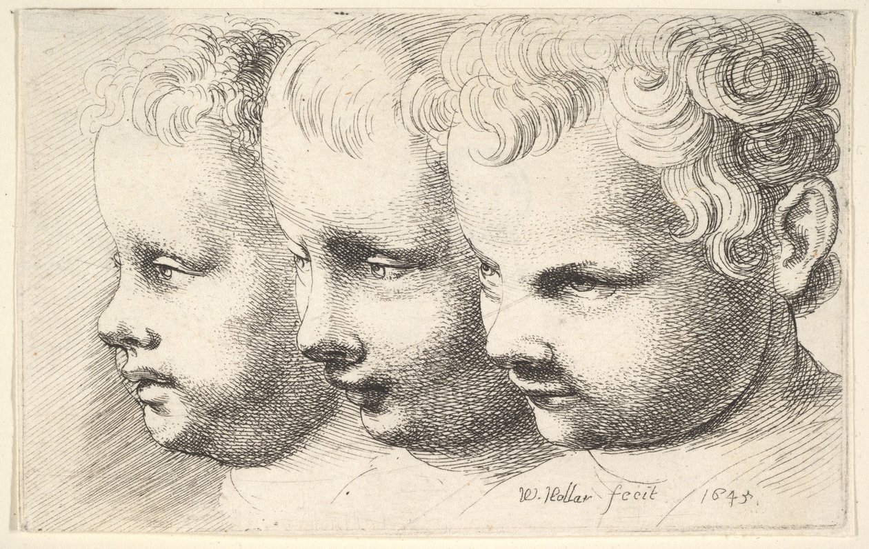 Tre teste di bambini da Wenceslaus Hollar