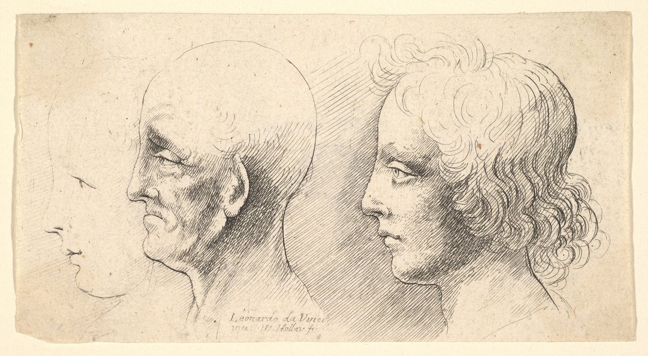 Tre teste di profilo, una solo in contorno, 1625-77 da Wenceslaus Hollar