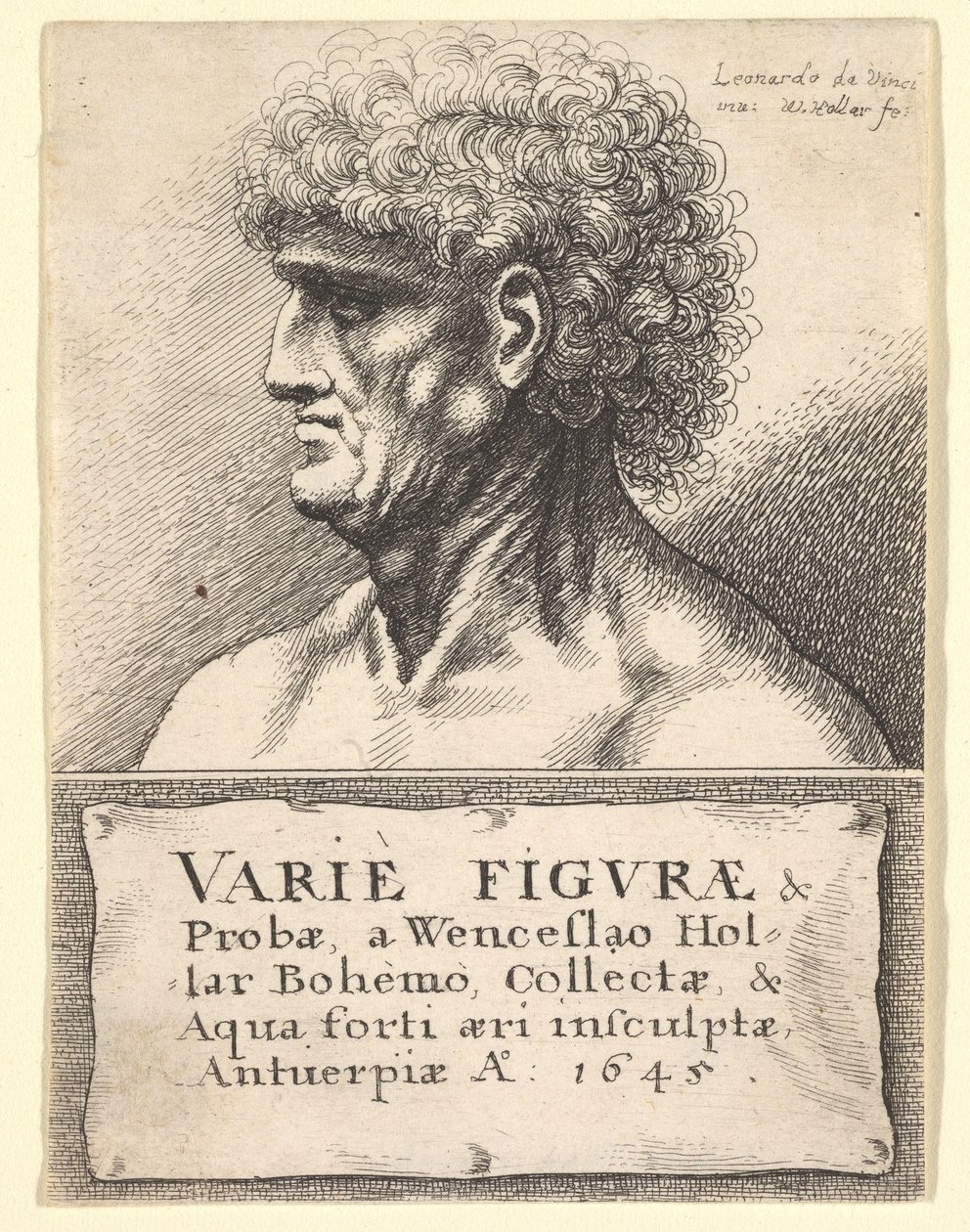 Pagina del titolo di Varie Figuræ & Probæ, 1645 da Wenceslaus Hollar