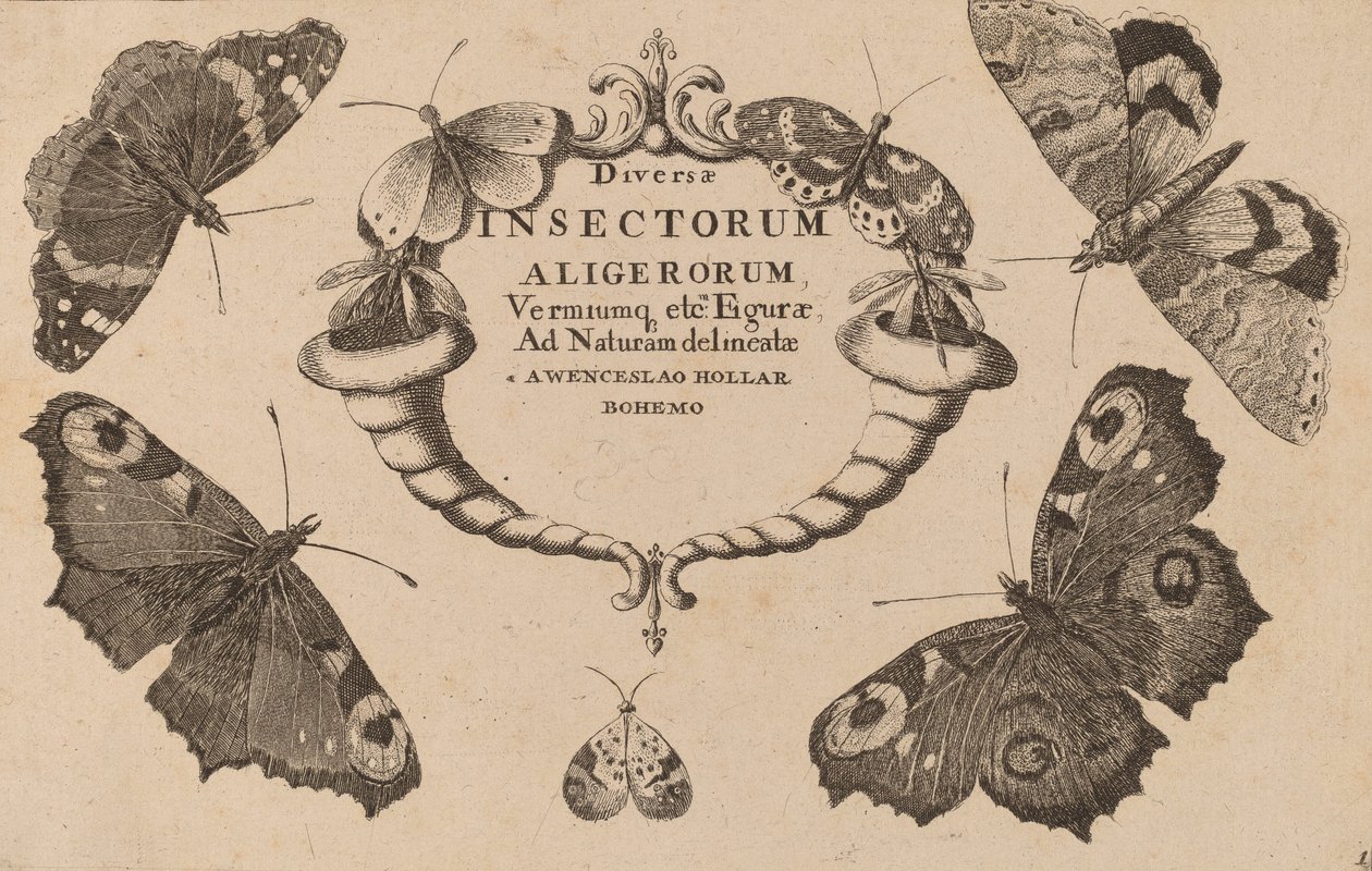 Pagina del titolo da Wenceslaus Hollar