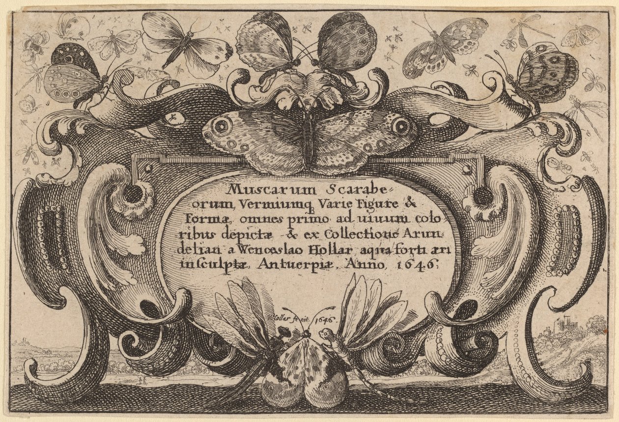 Pagina del Titolo da Wenceslaus Hollar