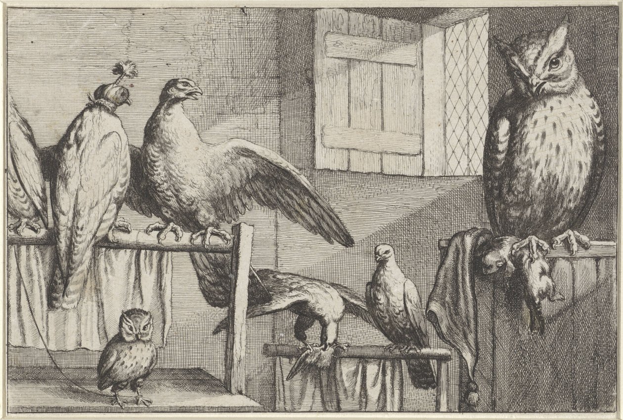 Falchi e gufi in un fienile da Wenceslaus Hollar