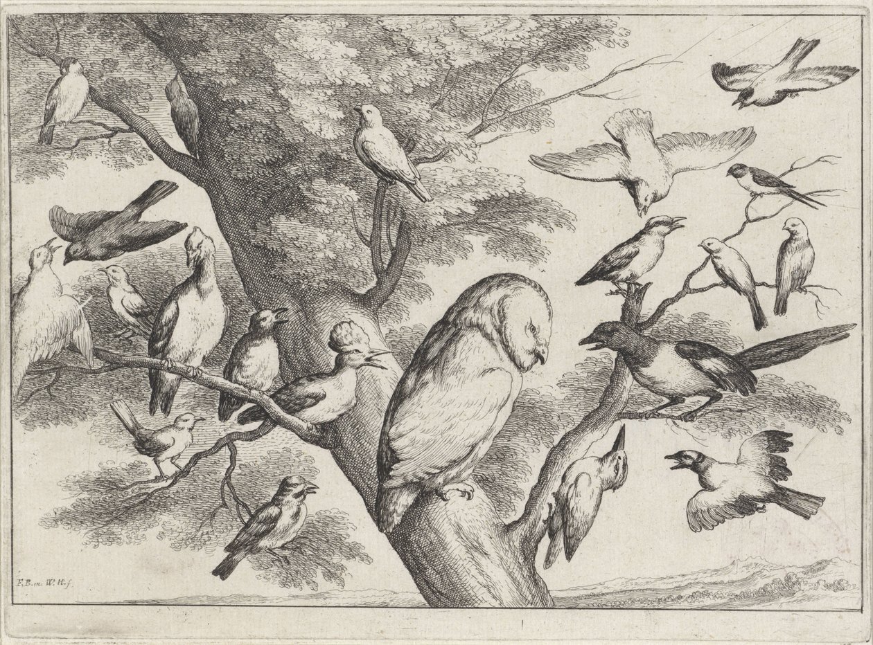 Uccelli su un albero (serie Verschillende vogels) da Wenceslaus Hollar