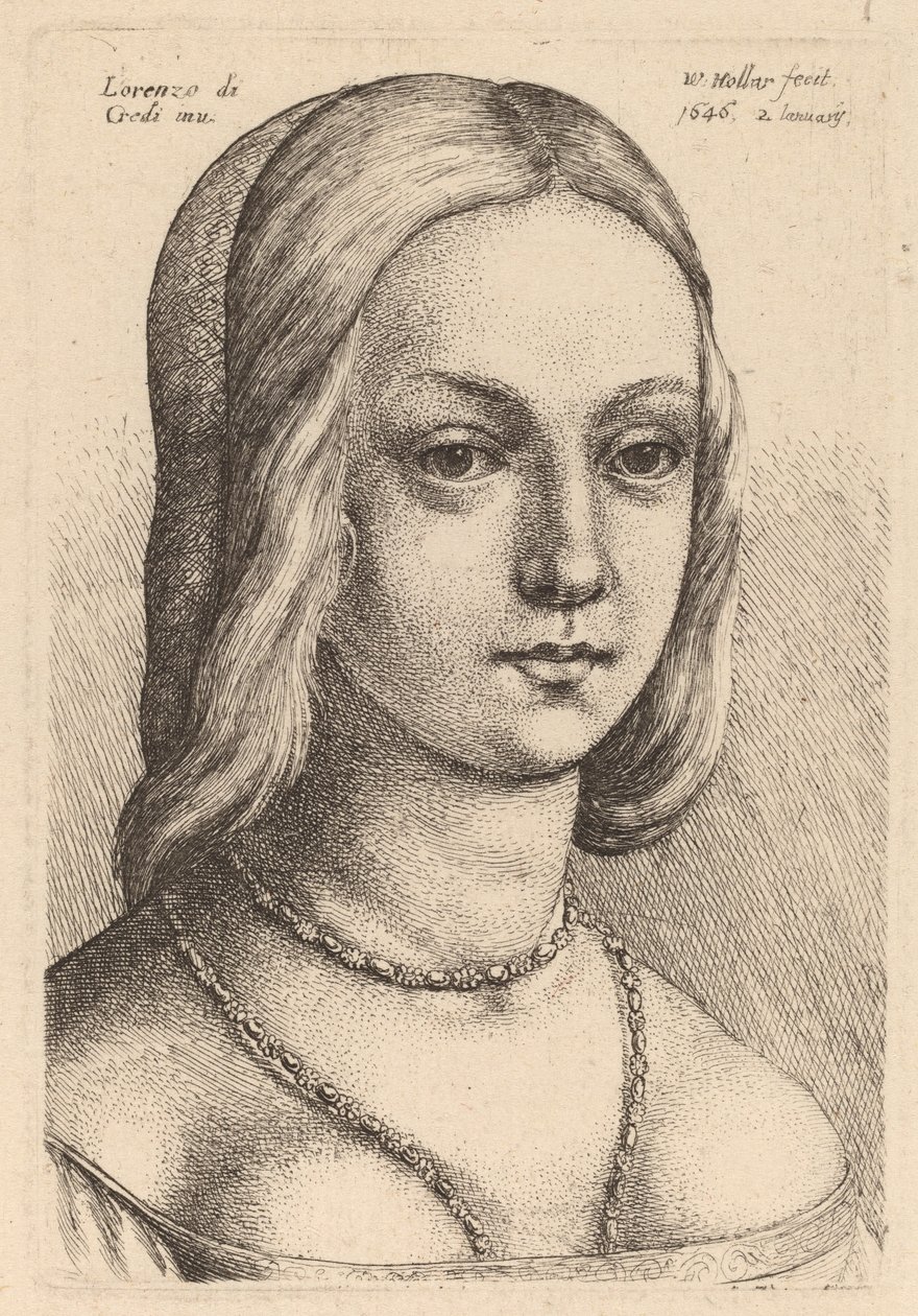 Testa di donna che guarda a destra da Wenceslaus Hollar after Lorenzo di Credi