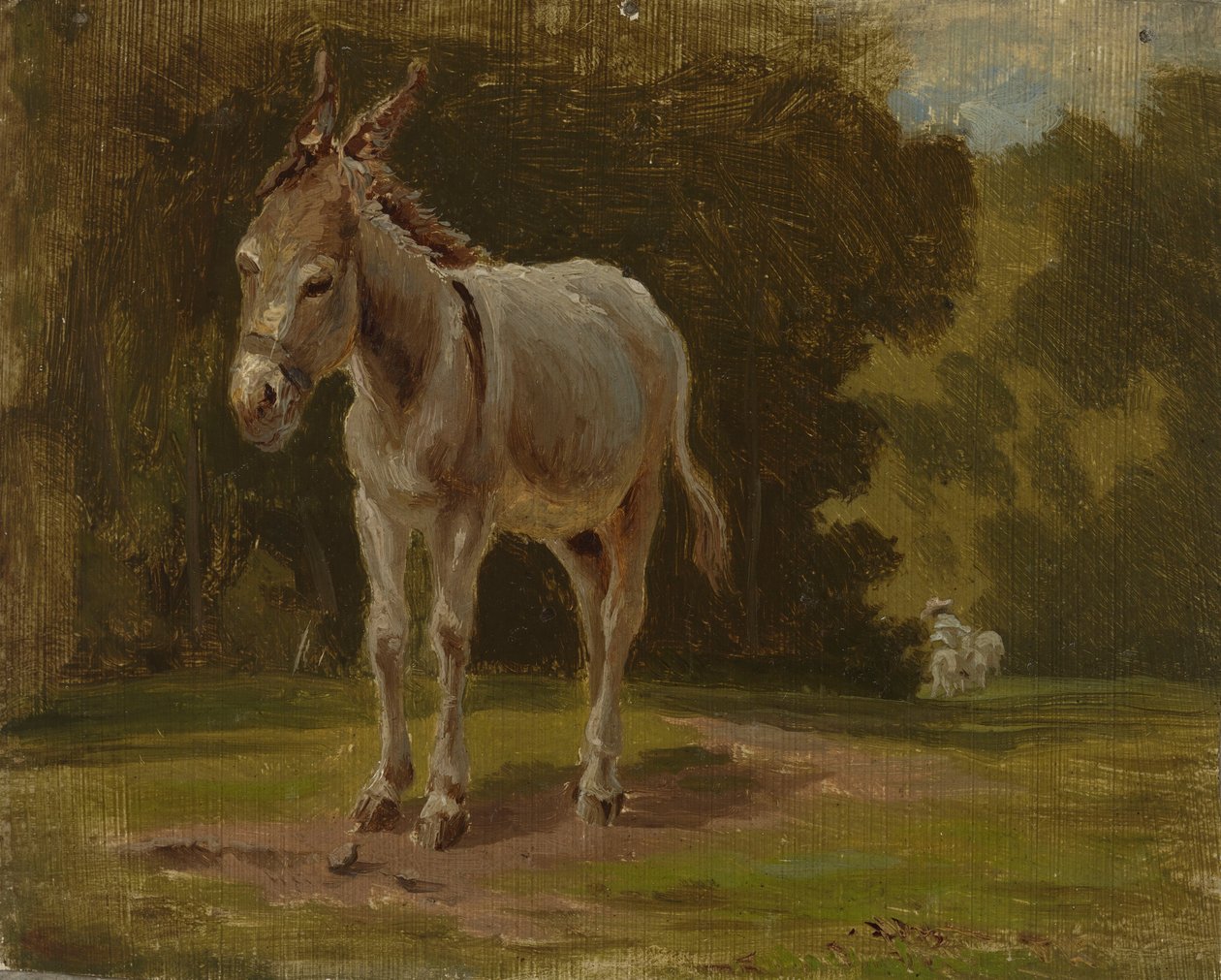 Asino da Werner Holmberg
