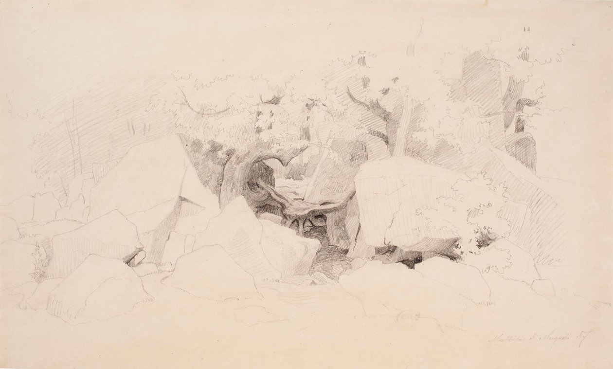 Scaglie di pietra nella foresta da Werner Holmberg