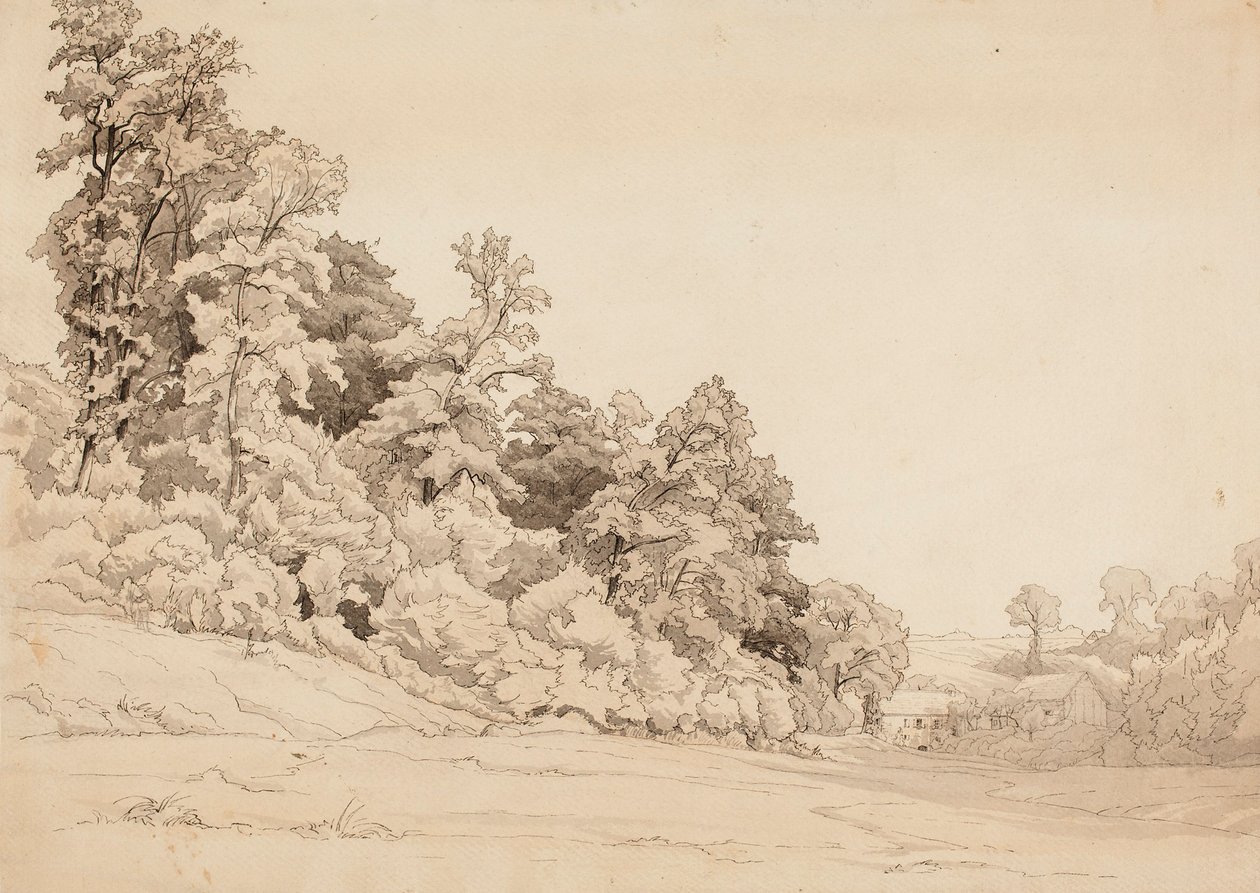 Paesaggio, pendio da Werner Holmberg