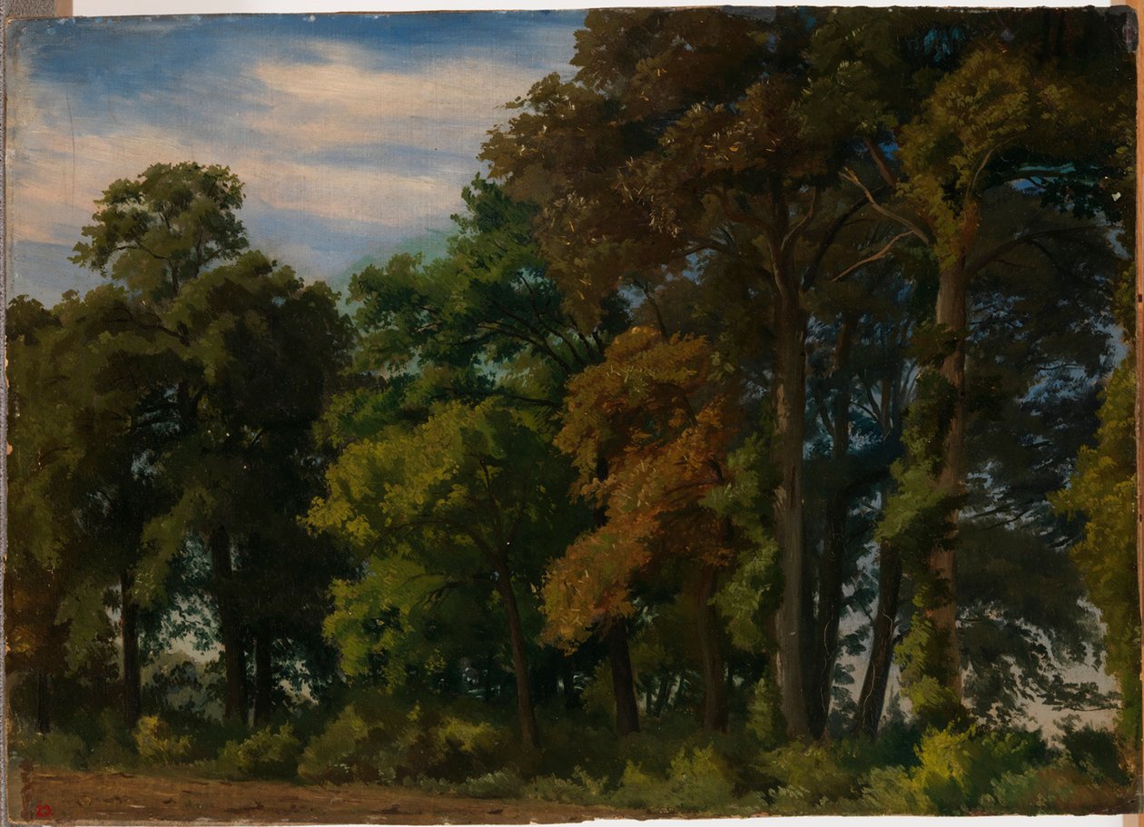 Paesaggio in Germania, studio da Werner Holmberg