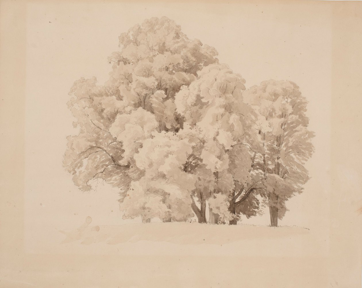 Gruppo di alberi a foglia da Werner Holmberg