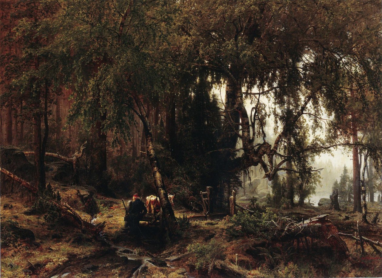 Foresta sotto la pioggia da Werner Holmberg