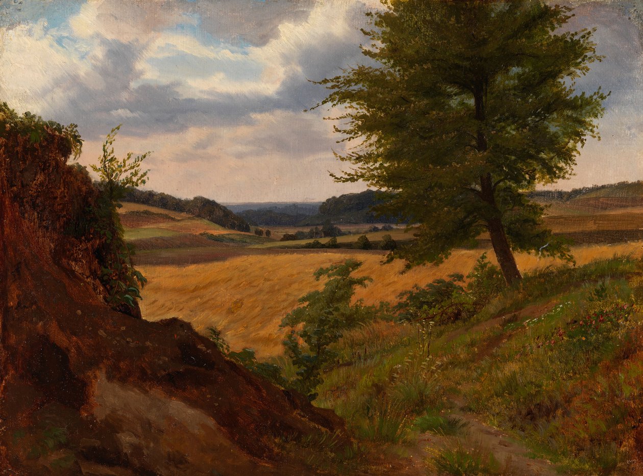 Albero in paesaggio di campagna, studio da Werner Holmberg