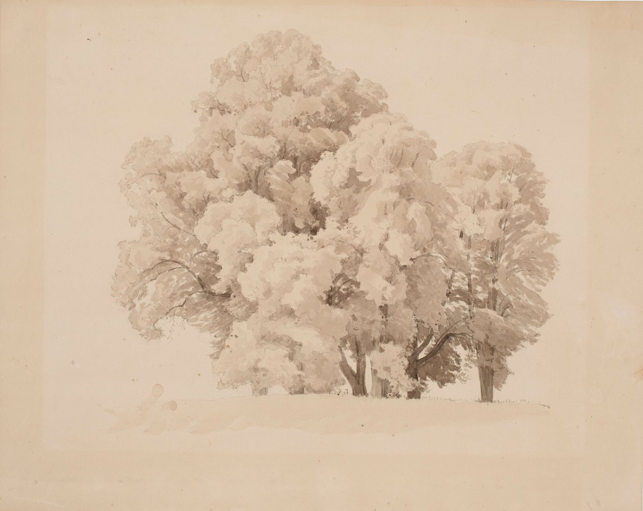 Gruppo di alberi a foglia da Werner Holmberg