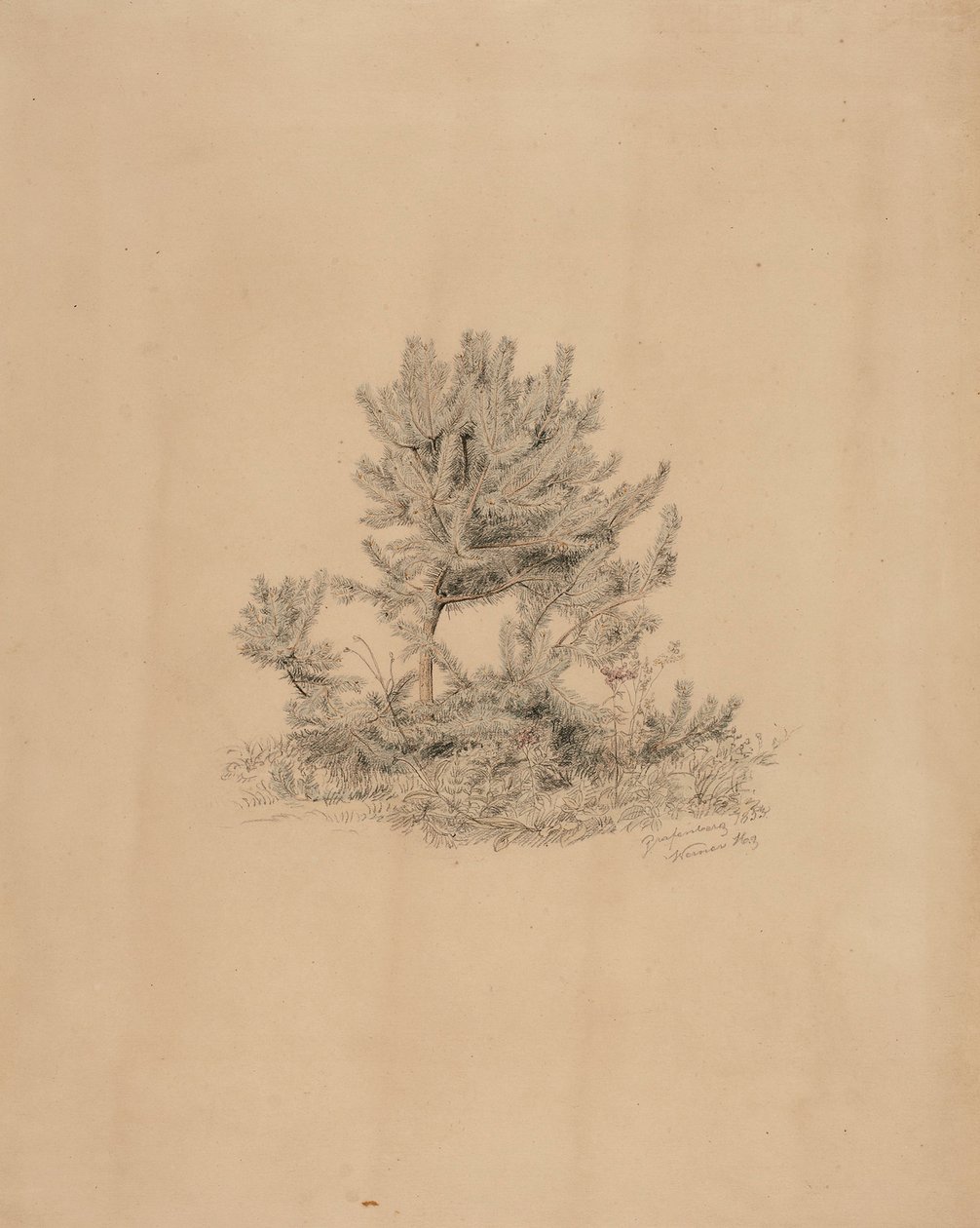 Senza titolo da Werner Holmberg