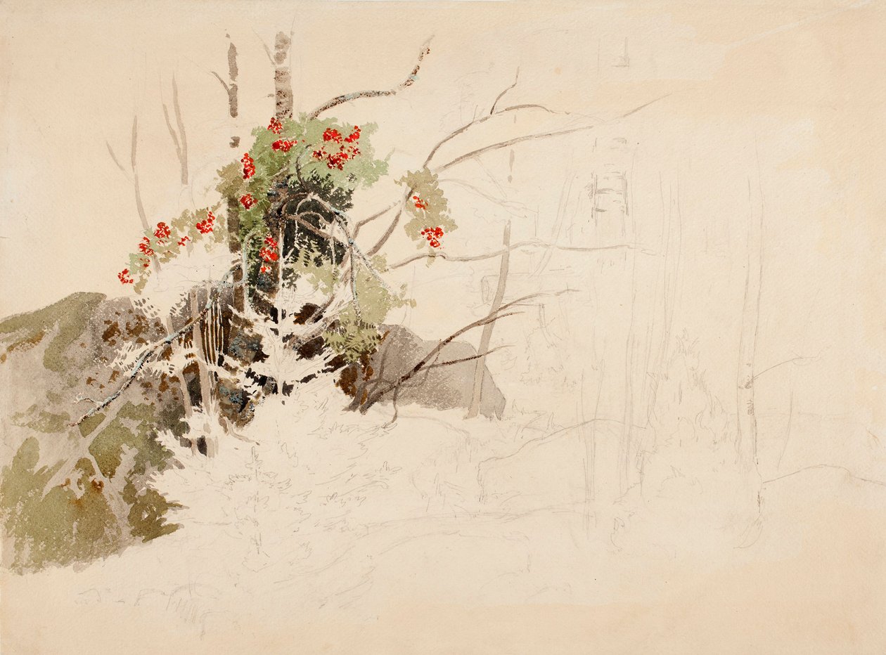 Senza titolo da Werner Holmberg