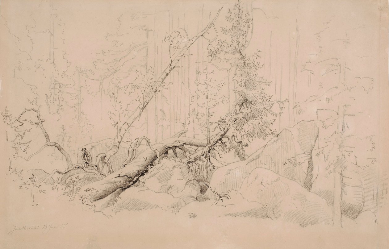Senza titolo da Werner Holmberg
