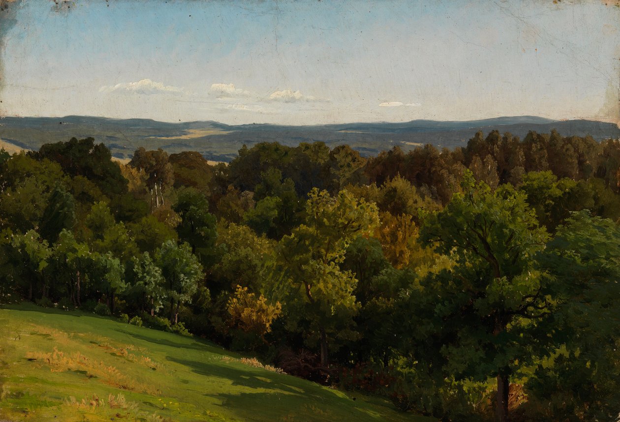 Senza titolo da Werner Holmberg