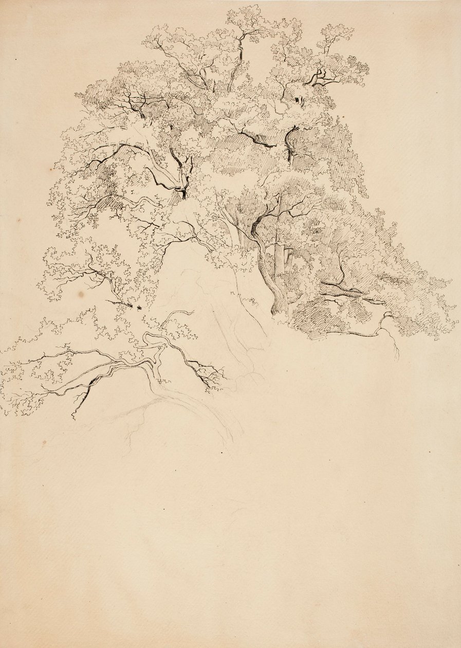 Senza titolo da Werner Holmberg