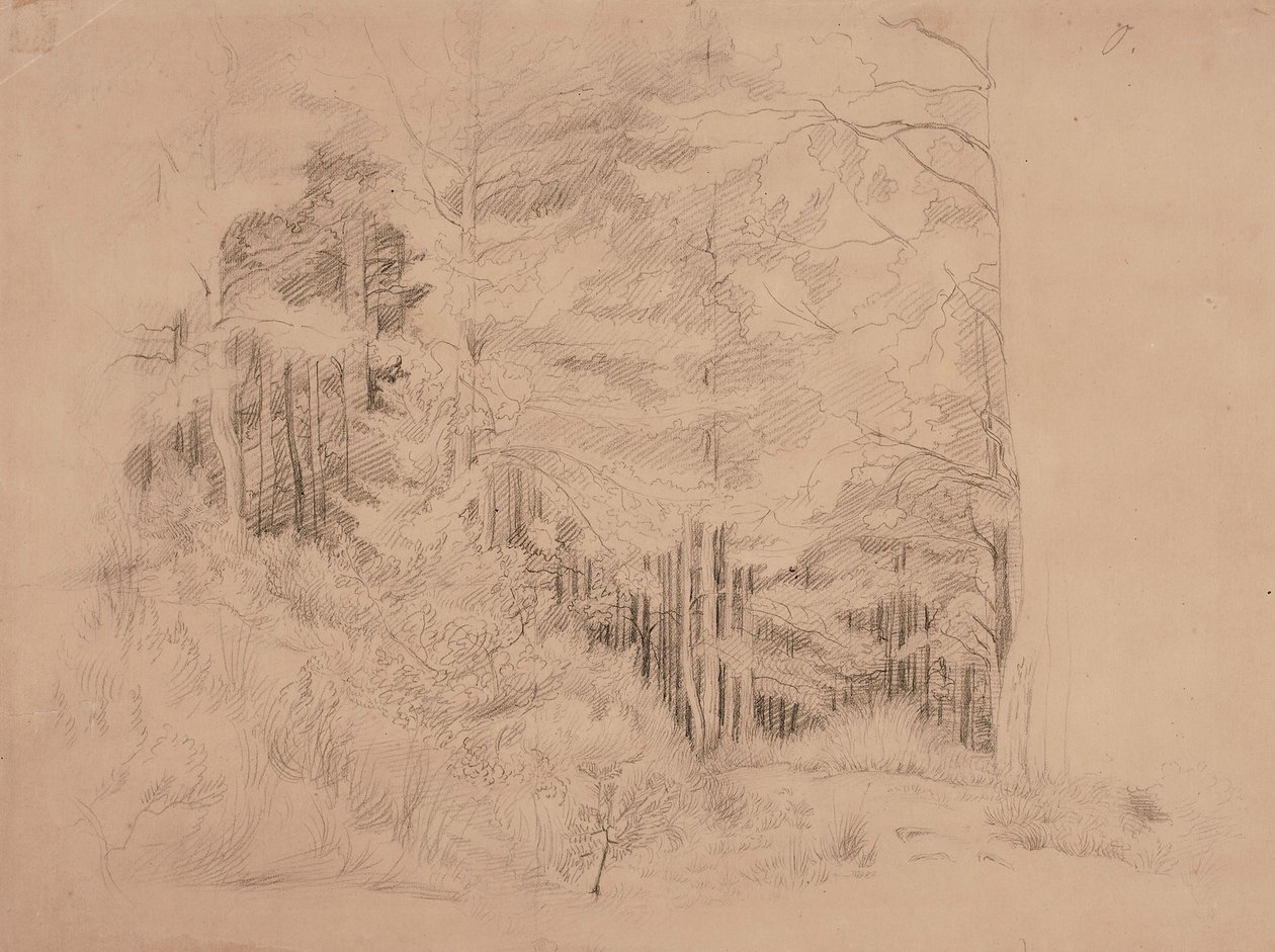 Senza titolo da Werner Holmberg