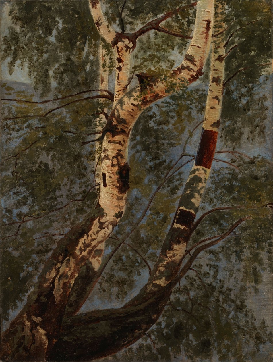Senza titolo da Werner Holmberg