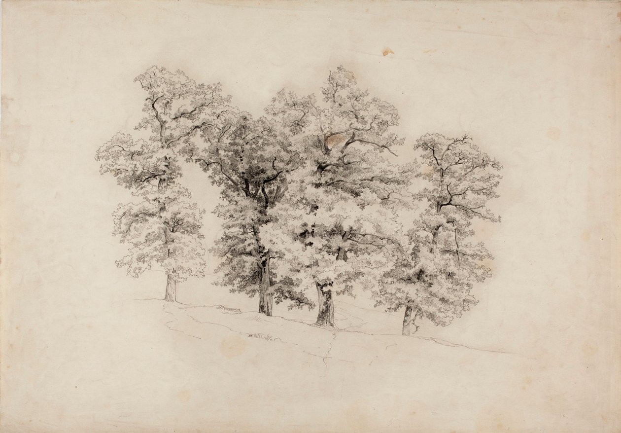Senza titolo da Werner Holmberg
