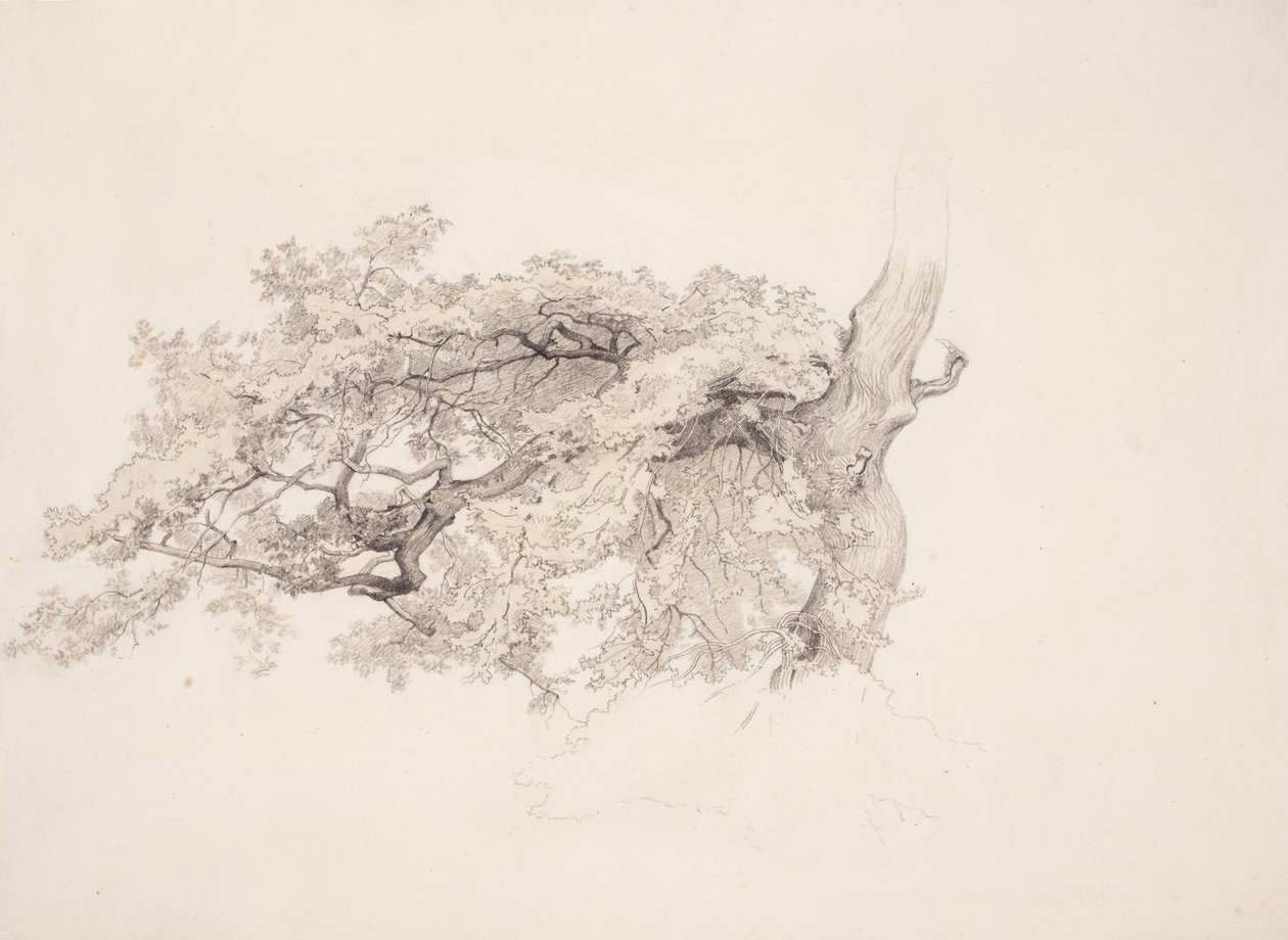 Senza titolo da Werner Holmberg