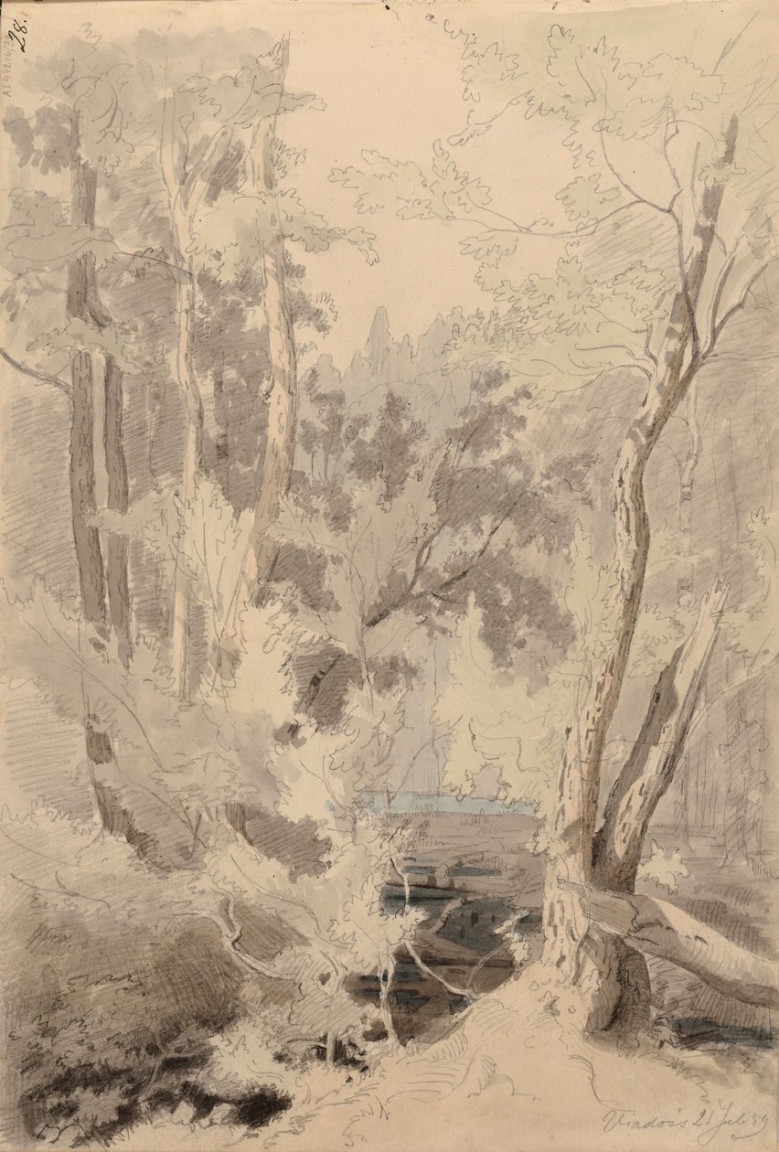 Senza titolo da Werner Holmberg