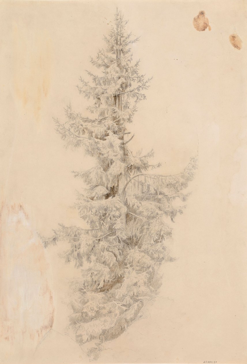 Senza titolo da Werner Holmberg