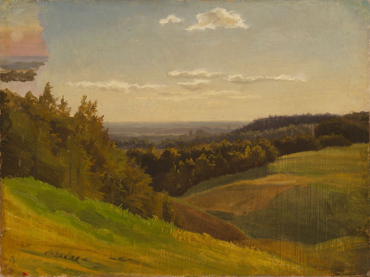 Senza titolo da Werner Holmberg