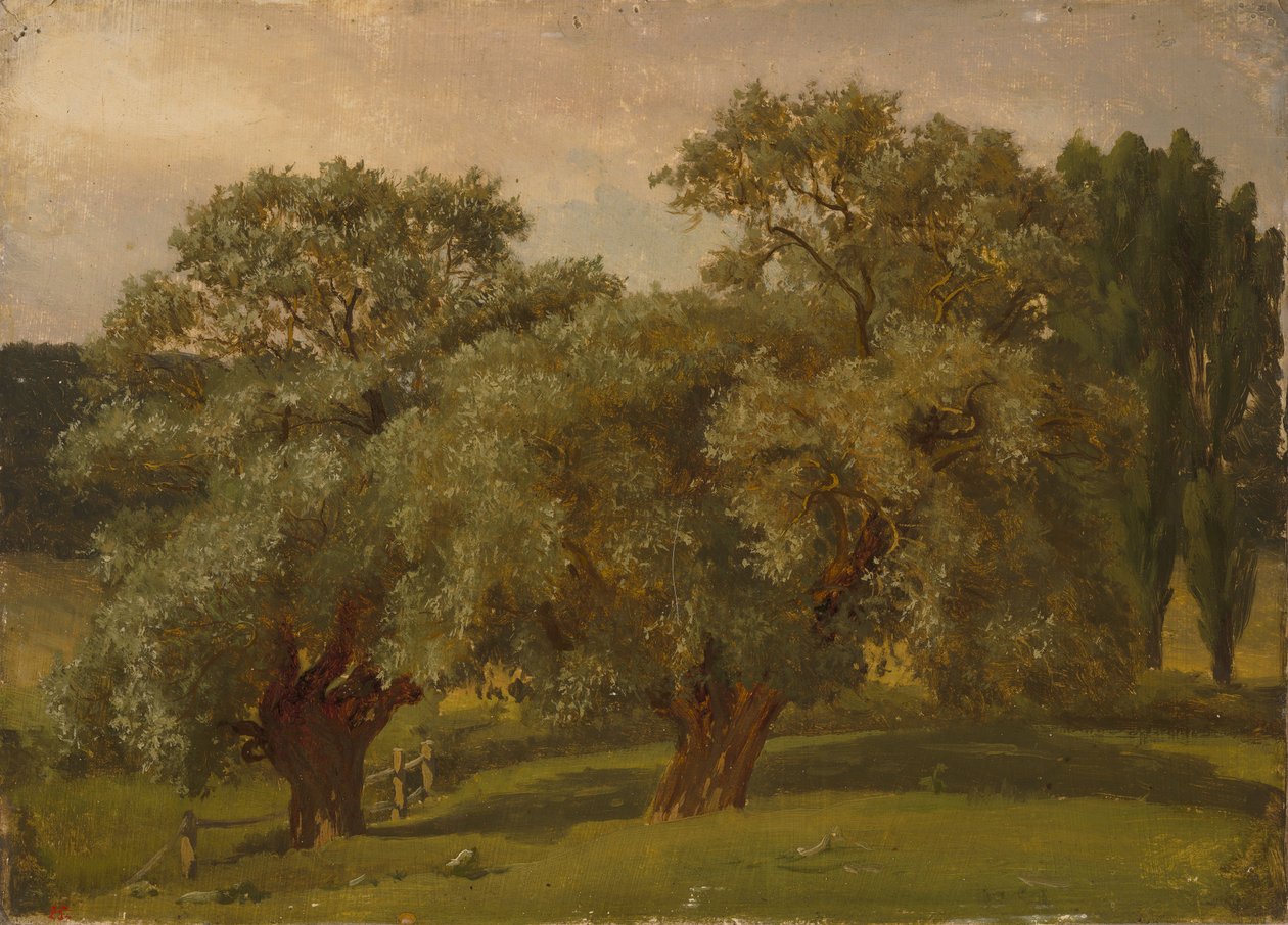 Senza titolo da Werner Holmberg