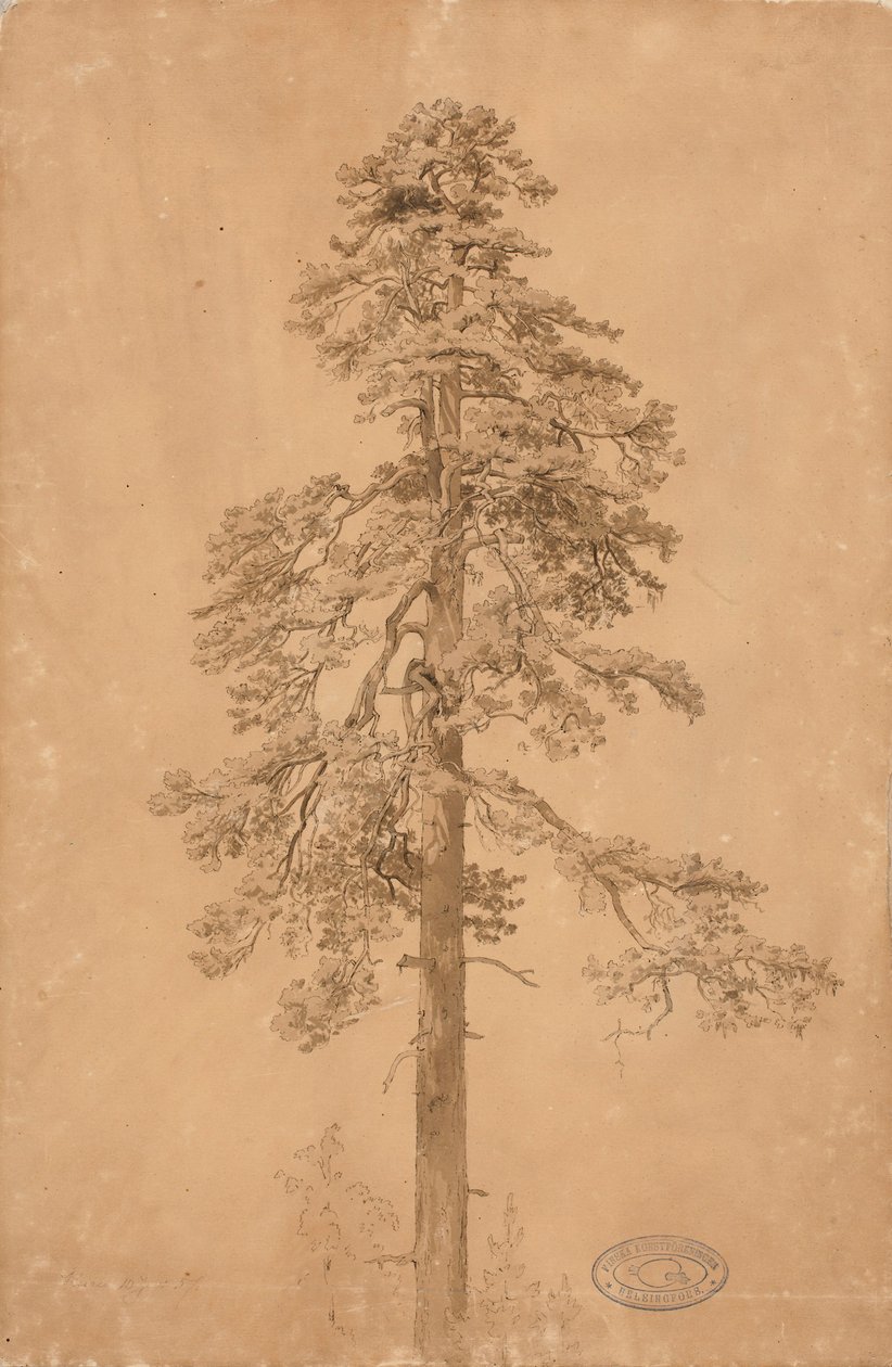 Senza titolo da Werner Holmberg