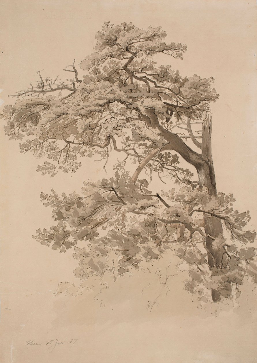 Senza titolo da Werner Holmberg