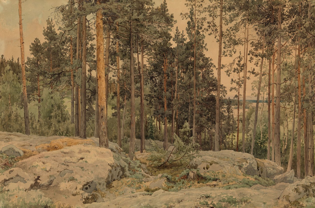 Senza titolo da Werner Holmberg