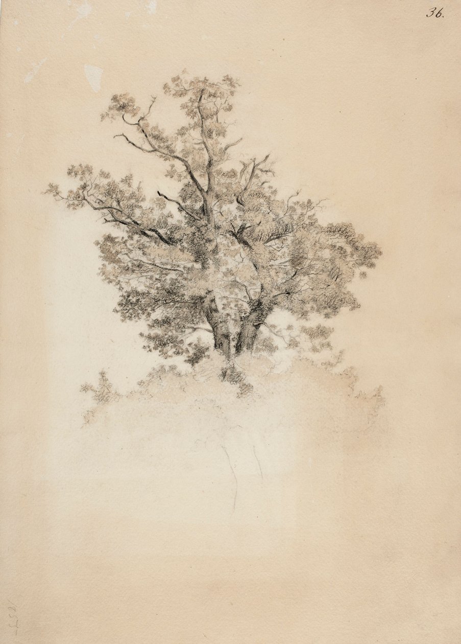 Senza titolo da Werner Holmberg
