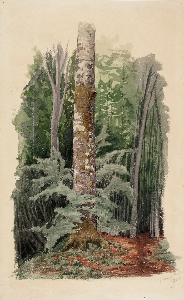 Senza titolo da Werner Holmberg