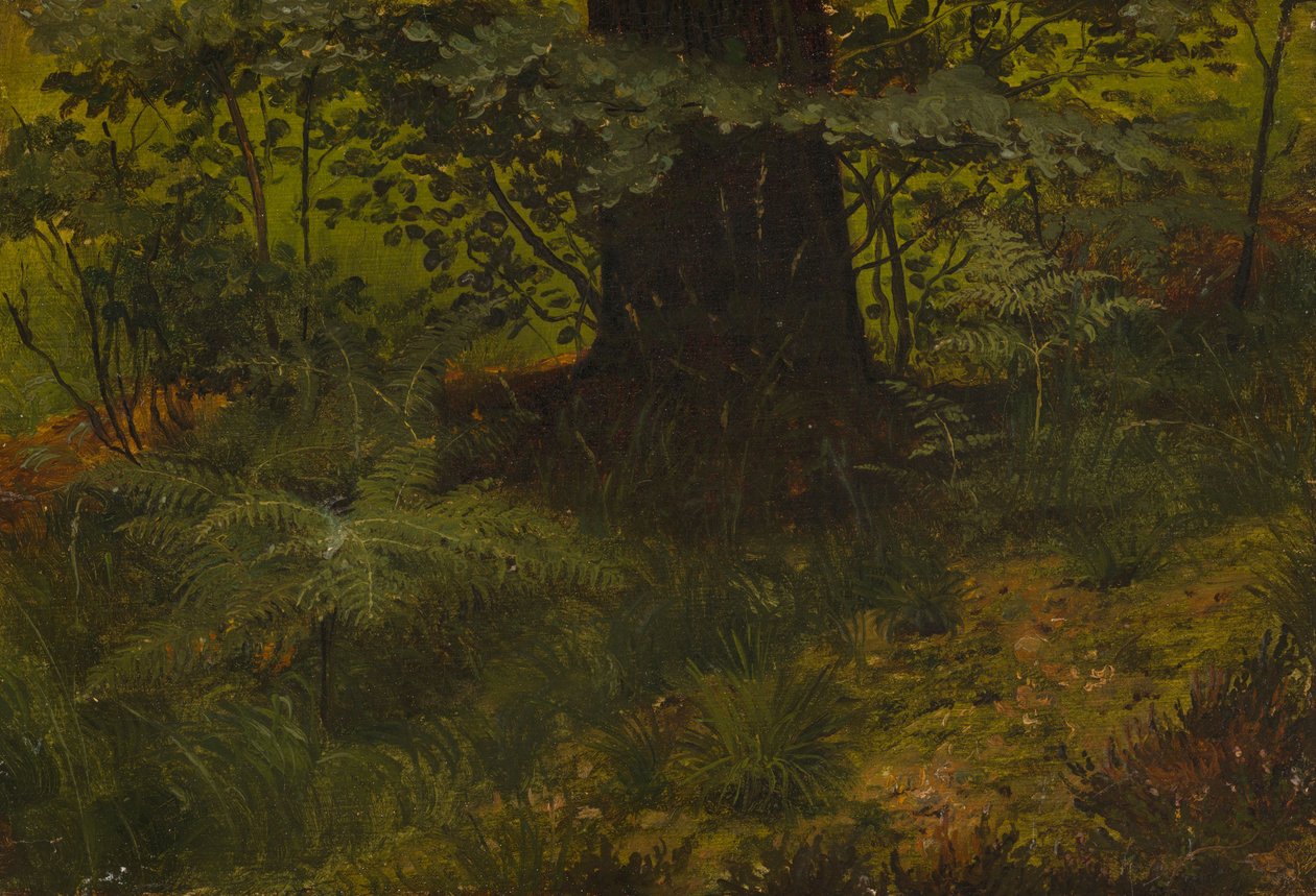 Senza titolo da Werner Holmberg